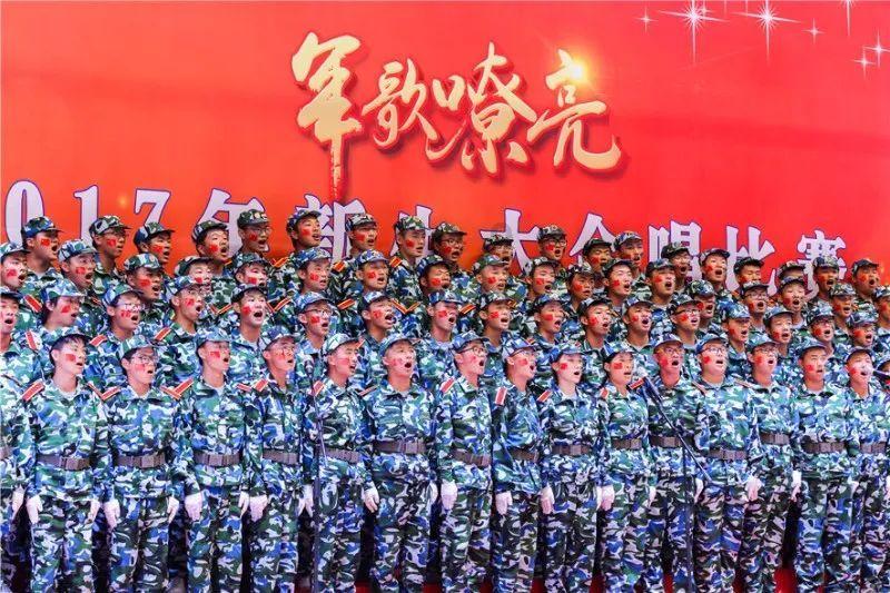 动物帮帮忙保卫家园